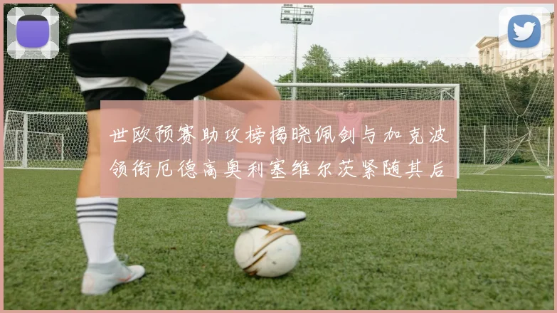 世欧预赛助攻榜揭晓佩剑与加克波领衔厄德高奥利塞维尔茨紧随其后