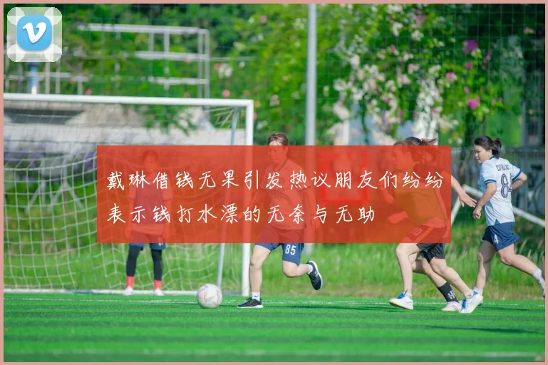 戴琳借钱无果引发热议朋友们纷纷表示钱打水漂的无奈与无助