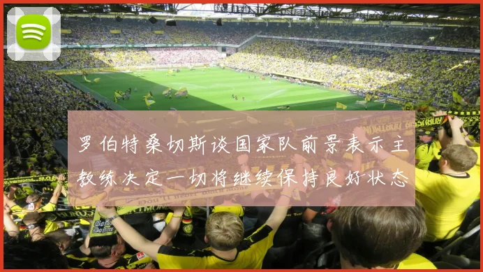 罗伯特桑切斯谈国家队前景表示主教练决定一切将继续保持良好状态